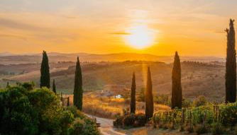 MYRTUS PODERE CUNINA - Foto 5