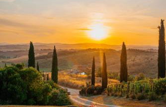 MYRTUS PODERE CUNINA - Foto 5