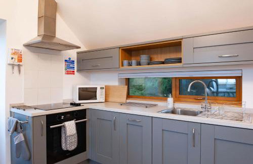 Dartmoor Barn on North Hessary Tor - Foto 25