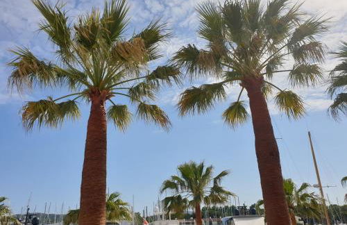 Brigantine Marines de Cogolin - Foto 16