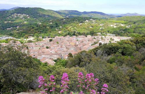 Apartment near St Tropez with pool - Foto 17