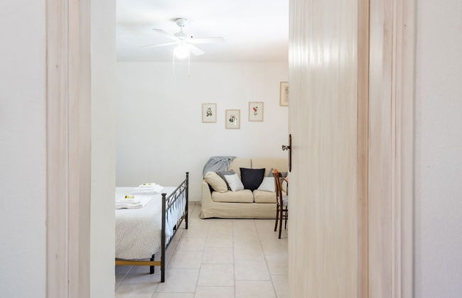 Il Fico nel Pozzo in Fossacesia - Foto 33