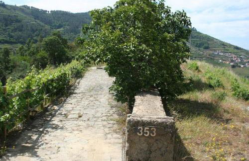 Quinta do Enxertado - Foto 7