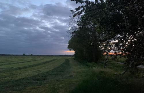 Landidyll - Bauernhaus Ländchen Bellin - Photo 52