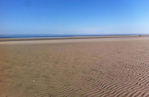 Wee Corsee - Foto 27