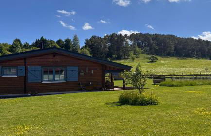 EifelChalet Niederehe - Foto 19