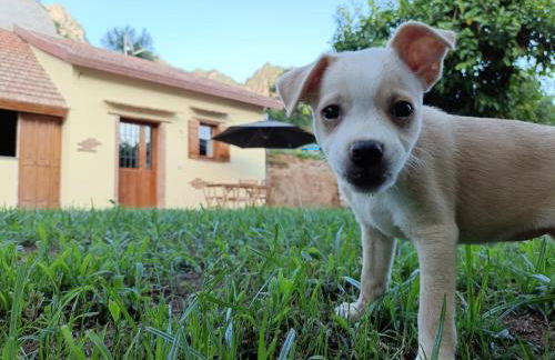 Capocampo Amalfi Coast - Foto 1