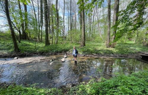 Wassermühle Triglitz - Alleinlage für Retreats, Workshops, Family & Friends - Foto 62