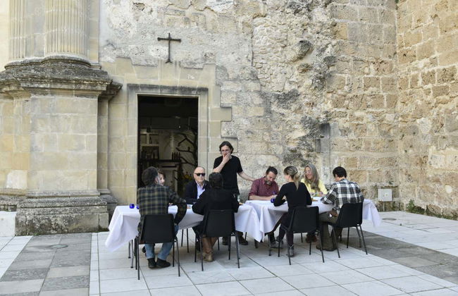 Olive Grove & Oil Mill Tour + Tasting - Photo 8