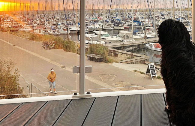 4 Guest Apartment in Wendtorf - Foto 15