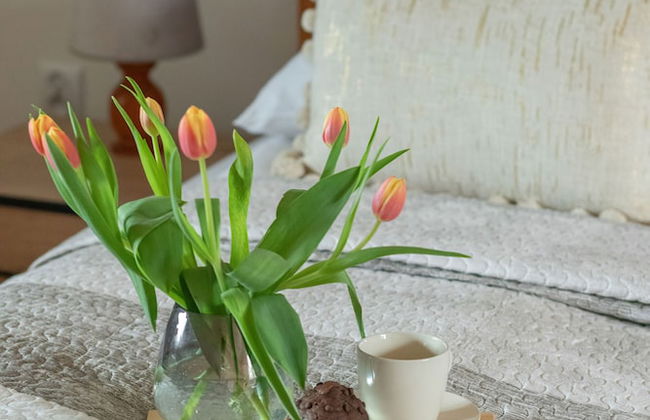 Beautiful House With Garden by Renters - Photo 5