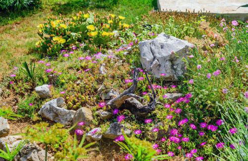 Sunny house - Foto 54