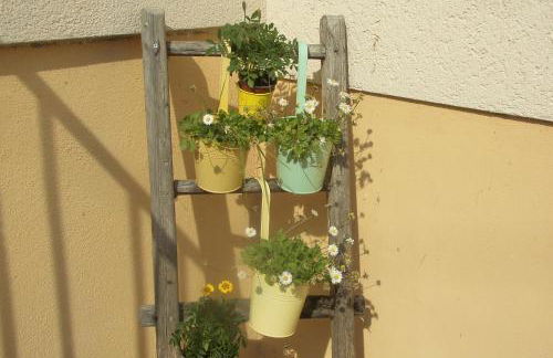 Urlaub auf dem Hänslehof - Foto 28