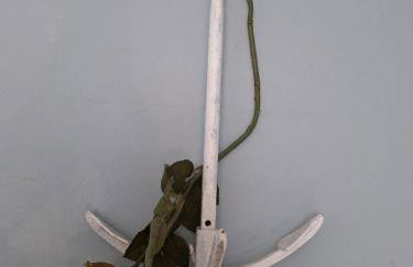 Apartman studio Otium - Photo 24