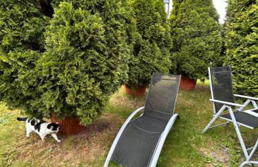 Apartment an der Rödlitzer Kirche - Foto 27