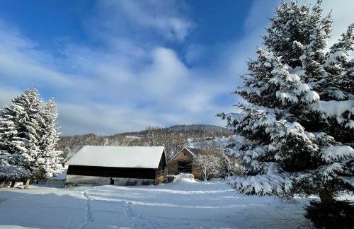 Dom Pod Dębem Agroturystyka - Foto 65