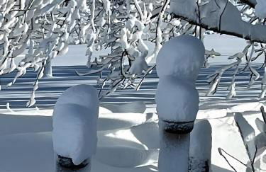 Chalet du Pradel - Photo 29