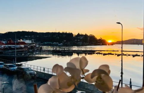 Island View - Foto 20