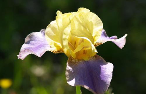 La Vayssade - Grand Gîte de charme - 14 pers - Piscine & Jacuzzi - Photo 68