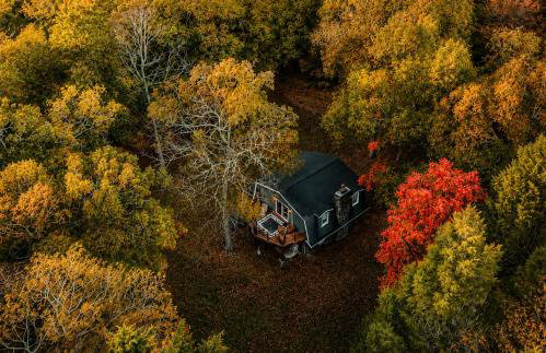 River Views, Sauna, Hot Tub & Writers Shed Dogs - Foto 42