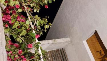 Statera Host - Foto 5