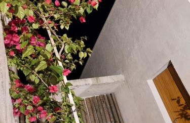 Statera Host - Foto 5