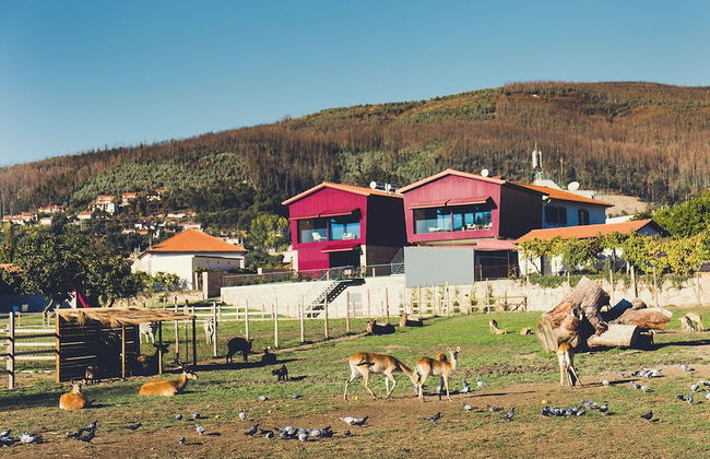 Quintãs Farm Houses - Foto 31