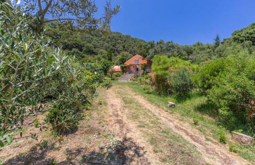 Casa Pájaro Colores in Bolonia - Foto 9