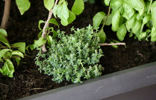 Histrias Apartments - Foto 15