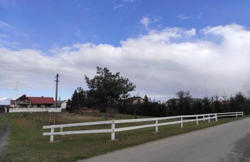 Agroturystyka Kobylnica nad Wisłą - Foto 51