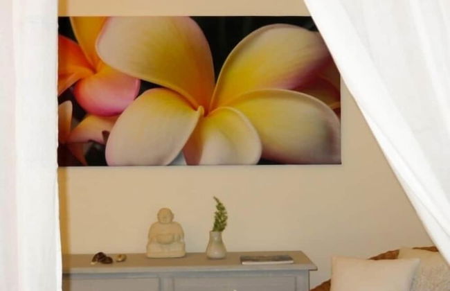 Villa Kreola - Foto 9