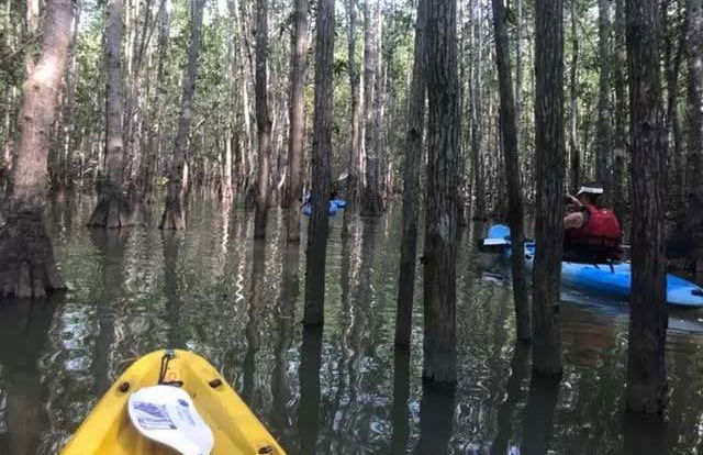 Tour de caiaque por Isla Damas - Foto 7