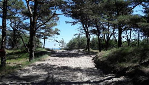 FeWo 3 im Haus Lohme OT Hagen - Foto 4