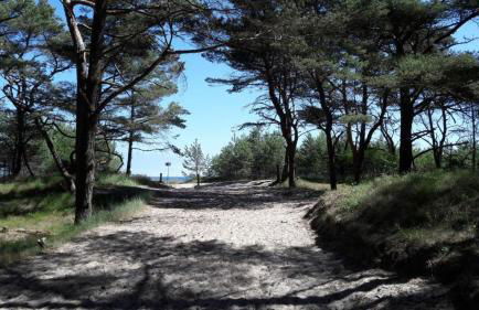 FeWo 3 im Haus Lohme OT Hagen - Foto 4