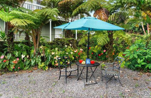 Orchid Hale - Foto 37