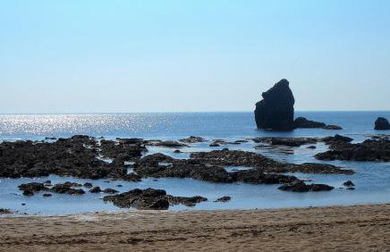 The Boathouse, Kingsbridge - Romantic detached annexe with parking & estuary walk to great pub - Foto 26