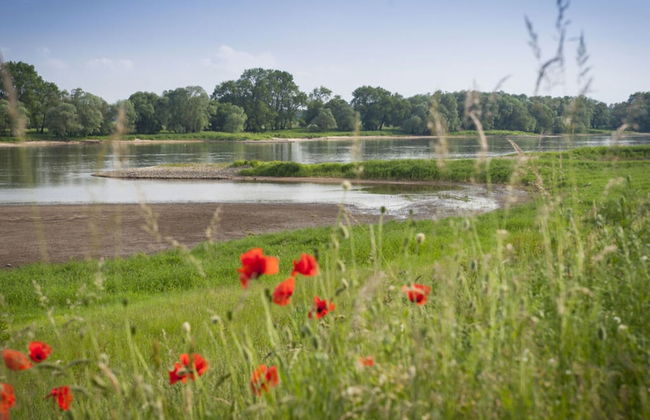 Elbwiesenhaus Modern Retreat - Foto 33