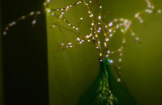 Ferienwohnung Jüdel mit Saunanutzung - Foto 14