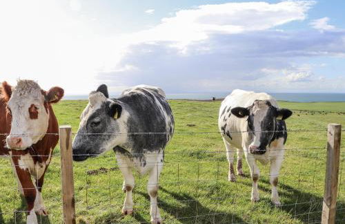 Corsewall Castle Farm Lodges - Foto 50