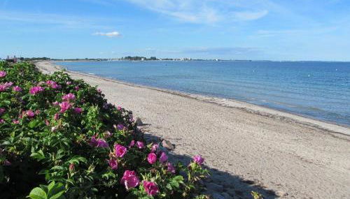 Ferienhaus-Strandperle - Foto 2