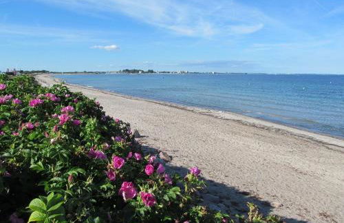 Ferienhaus-Strandperle - Foto 2