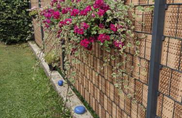 Ferienwohnung Blumenparadies - Foto 29