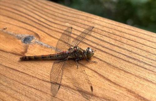 Domek nad jeziorem w górach - Foto 30