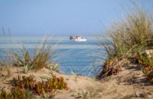 Awesome Home In El Rafol D'almunia - Foto 25