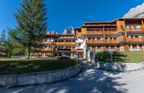 Petit Arnica - Foto 20