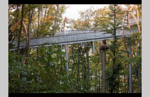Gemütlicher Ferienbungalow in Frankenau, kostenloses WLAN - Foto 22