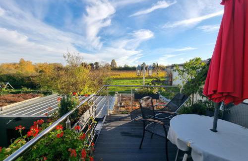 PalatinaZeit - WEINblick - Ferienwohnung im Haus Petry - Freinsheim - Pfalz - Foto 6