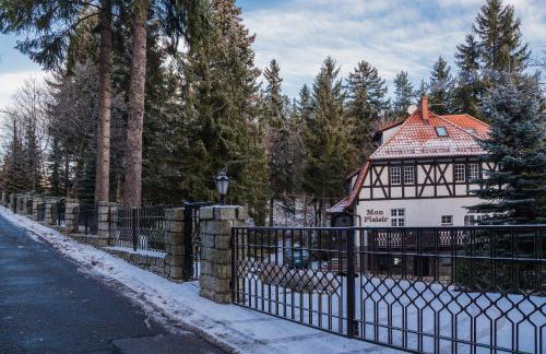 Mon Plaisir - Photo 25