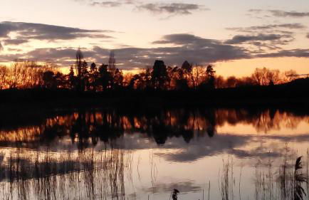 The Ski Club - Foto 55