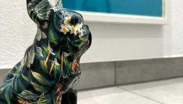 casa ECH Ferienhaus Oberelsbach - Foto 4